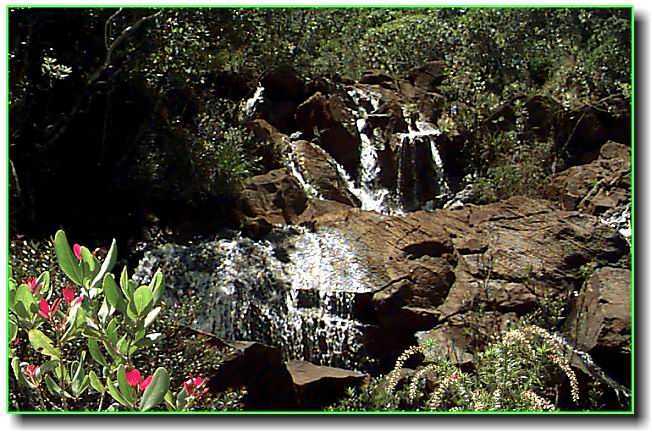 A small river, near where we are anchored, where we get our water, do the laundry, and bathe. &copy; http://www.thread-of-awareness-in-chaos.com/order.html