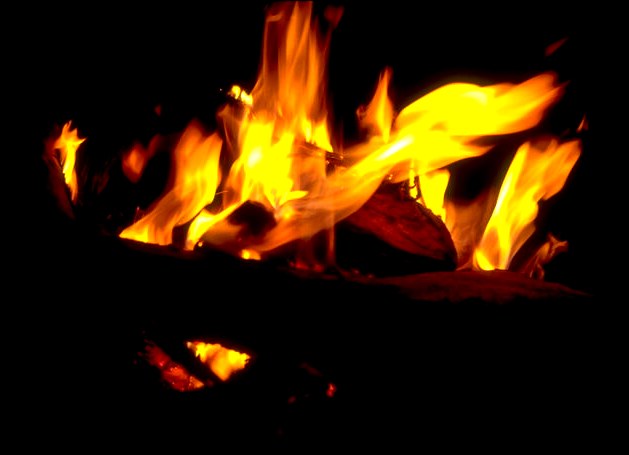 A fire made with the old coconut husks and leaves of a favorite tree of mine. 