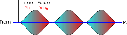 Looking down from the top of the sine curve as the chest expands out and contracts while breathing while running.